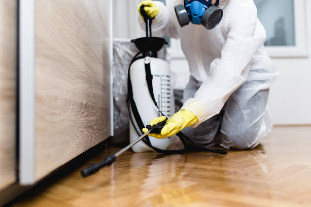 Best Affordable Pest Control Services  in Menomonee Falls, WI