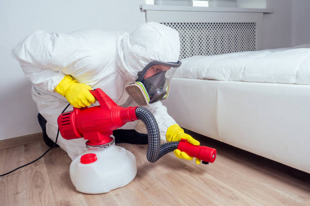 Best Termite Control Services  in Menomonee Falls, WI