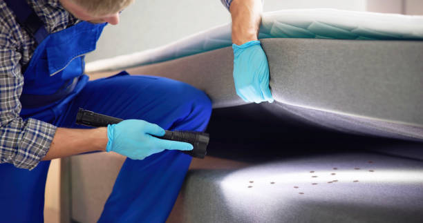 Flea Control Services in Menomonee Falls, WI