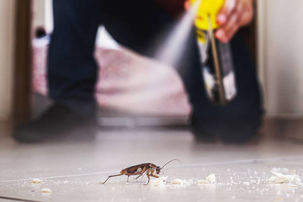 Best Rodent Control Near Me  in Menomonee Falls, WI