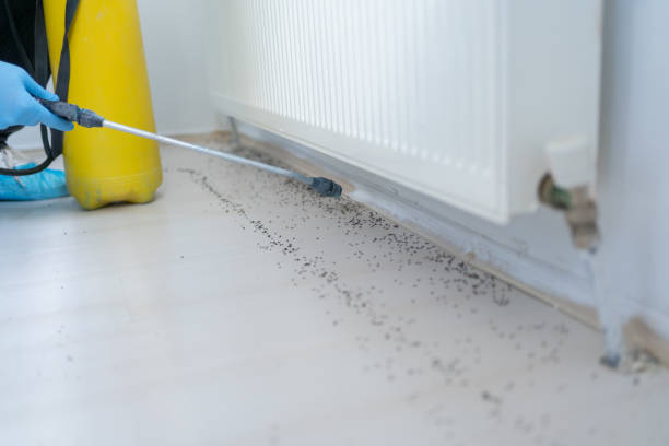 Best Pest Control Near Me  in Menomonee Falls, WI