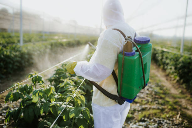 Best Affordable Pest Control Services  in Menomonee Falls, WI